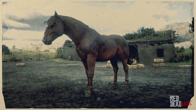 RDR2 Horse - Red Chestnut Suffolk Punch Horse