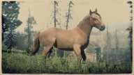 RDR2 Horses SuffolkPunchHorse SorrelSuffolkPunchHorse 1