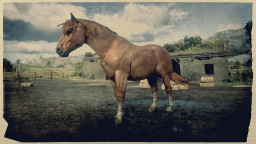 RDR2 Horses SuffolkPunchHorse SorrelSuffolkPunchHorse 2