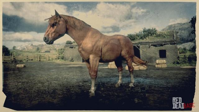 Suffolk Punch Horse - RDR2 Horse Breed