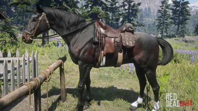 Seal Brown Thoroughbred (Rachel) - RDR2 Horse