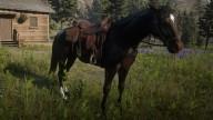 RDR2 Horses Thoroughbred SealBrownThoroughbred 2