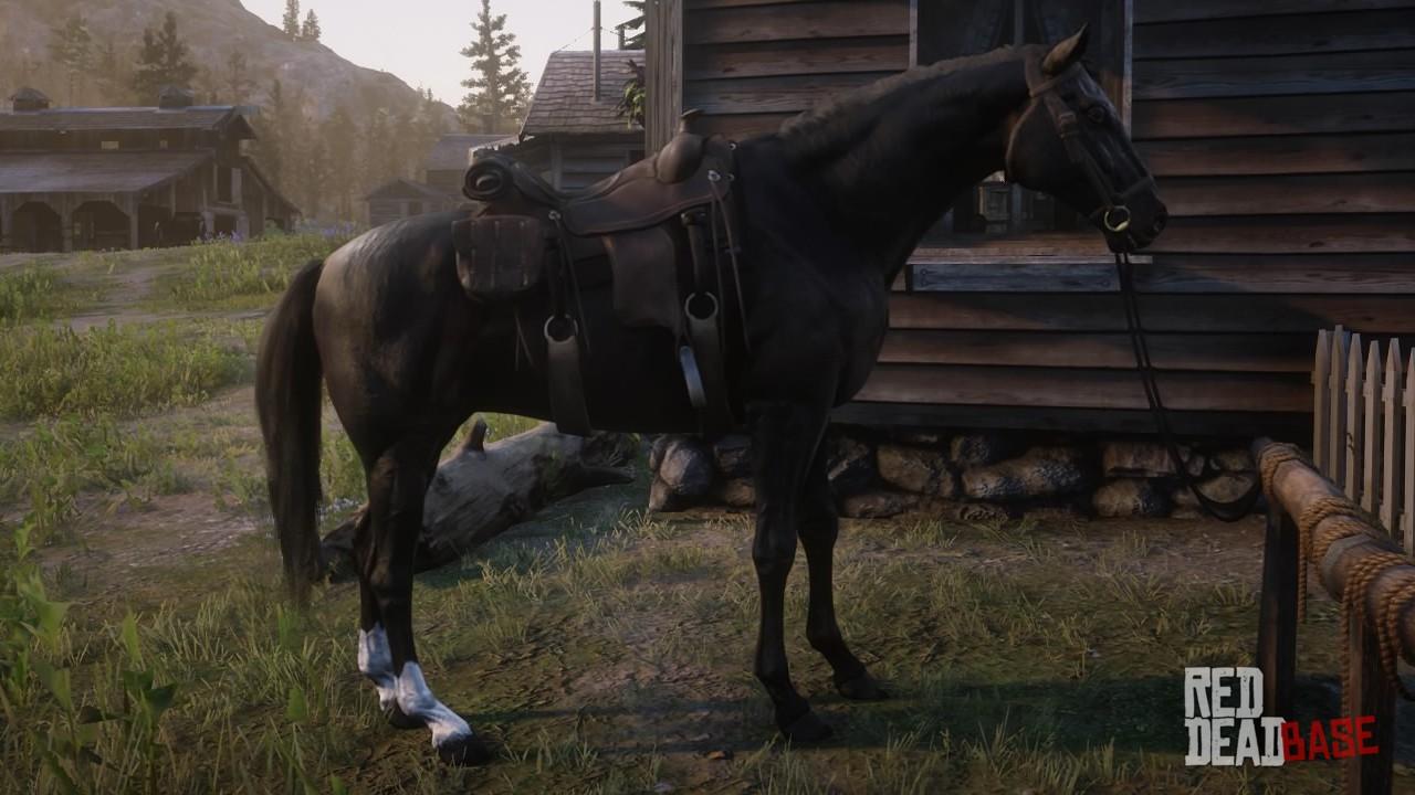 Быстрая лошадь в рдр. Rdr 2 Thoroughbred Silver Bay. Red Dead Redemption 2 голландская лошадь. Арабская Вороная лошадь rdr2. Red Dead Redemption 2 Thoroughbred Black Chestnut.