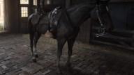 RDR2 Horses Thoroughbred SealBrownThoroughbred 4