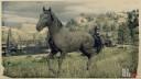 Rd r2 horses american standardbred black american standardbred 29 3118 360