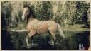 Rd r2 horses american standardbred silver tail buckskin american standardbred 2 3124 360