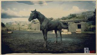 Red Chestnut Arabian Horse - RDR2 & Red Dead Online Horses ...
