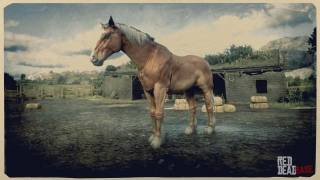 Red Dead Redemption 2 Horse Breed - Belgian Draft Horse