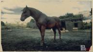 Rd r2 horses suffolk punch horse red chestnut suffolk punch horse 1 3197 360