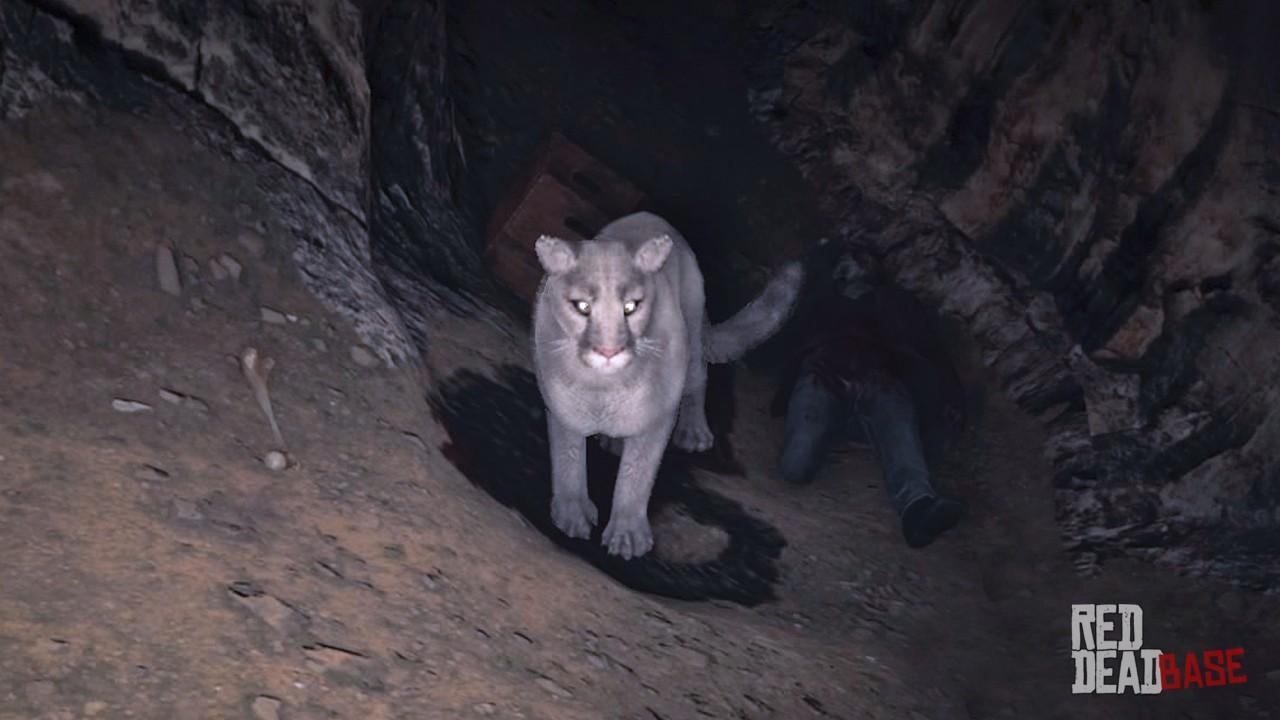 White Cougar Red Dead Redemption 2 Animals Species Wildlife