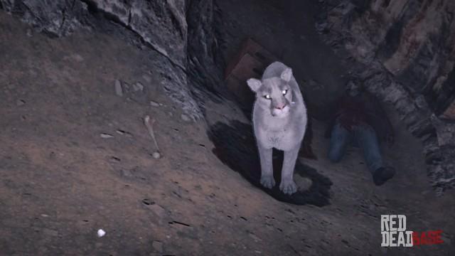 RDR2 Animal WhiteCougar 2