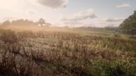 RDR2 Faction BraithwaiteManor Fields 1