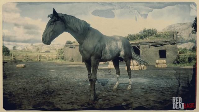 Black Rabicano Tennessee Walker - RDR2 Horse