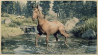 RDR2 Horses TennesseeWalker ChestnutTennesseeWalker 1