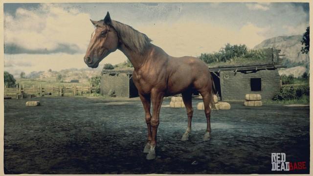 RDR2 Horse - Chestnut Tennessee Walker