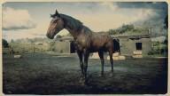 RDR2 Horses TennesseeWalker DappleBayTennesseeWalker 1