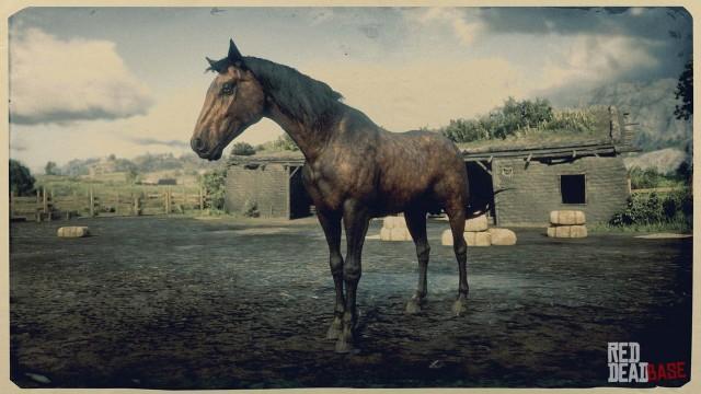 Dapple Bay Tennessee Walker - RDR2 Horse