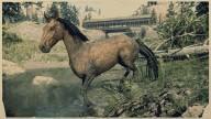 RDR2 Horses TennesseeWalker DappleBayTennesseeWalker 2