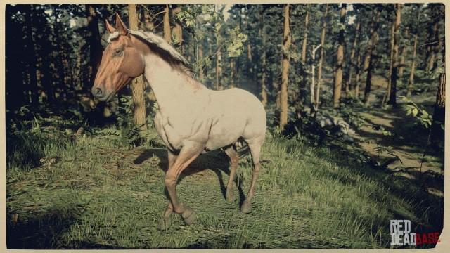 RDR2 Horses TennesseeWalker FlaxenRoanTennesseeWalker 1