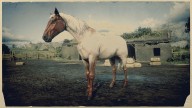 RDR2 Horses TennesseeWalker FlaxenRoanTennesseeWalker 2