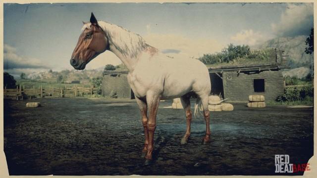 RDR2 Horse - Flaxen Roan Tennessee Walker
