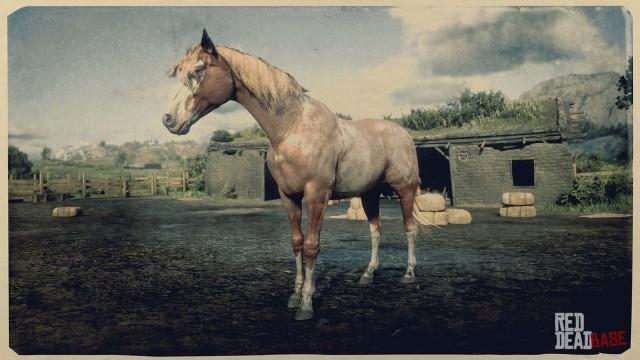 RDR2 Horse - Red Roan Tennessee Walker