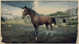 RDR2 Horses Thoroughbred BloodBayThoroughbred 1