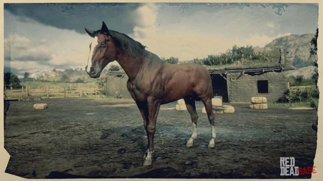 RDR2 Horse Breed - Thoroughbred