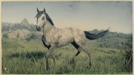 RDR2 Horses Thoroughbred BrindleThoroughbred 2