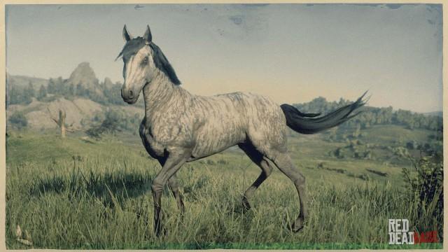 RDR2 Horses Thoroughbred BrindleThoroughbred 2