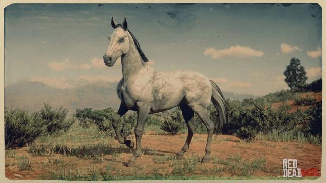 Cremello Rdr2 Dapple Grey Thoroughbred | RDR2 & Online Horse Stats & Locations