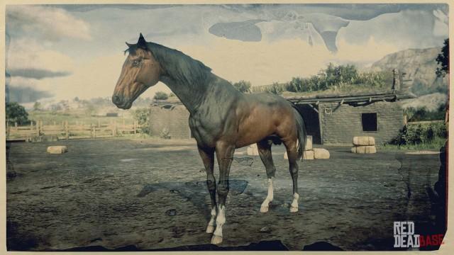 RDR2 Horse - Dark Bay Turkoman Horse