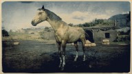 RDR2 Horses TurkomanHorse GoldTurkomanHorse 2
