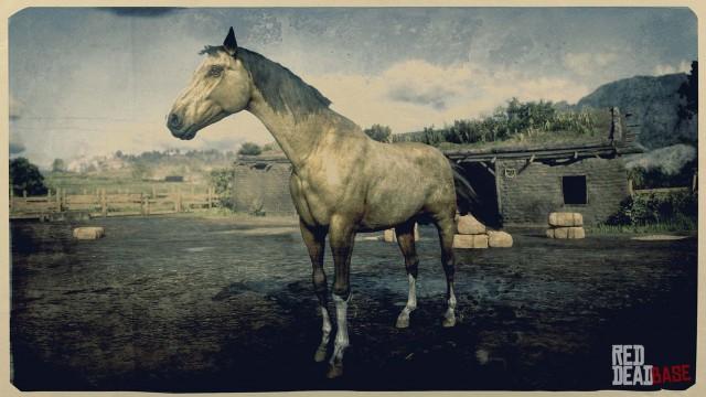 RDR2 Horse Breed - Turkoman Horse