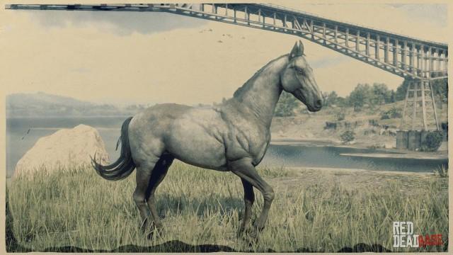 RDR2 Horses TurkomanHorse SilverTurkomanHorse 2