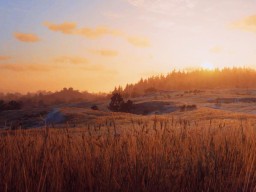 red dead redemption 2 bonzaionline