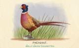 RDR2 CigaretteCards Animals 10 Pheasant