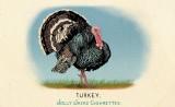 RDR2 CigaretteCards Animals 12 Turkey