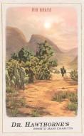 RDR2 CigaretteCards Landmarks 5