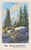 RDR2 CigaretteCards Landmarks 8 TallTrees