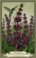 RDR2 CigaretteCards Plants 2