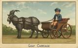 RDR2 CigaretteCards Vehicles 5 Goat