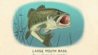 RDR2 CigaretteCards Animals 7 LargemouthBass