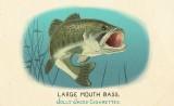 RDR2 CigaretteCards Animals 7 LargemouthBass