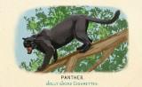 RDR2 CigaretteCards Animals 8 Panther