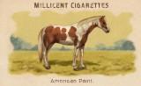 RDR2 CigaretteCards Horses AmericanPaintHorse