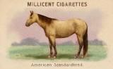 RDR2 CigaretteCards Horses AmericanStandardbred