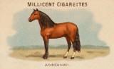 RDR2 CigaretteCards Horses AndalusianHorse