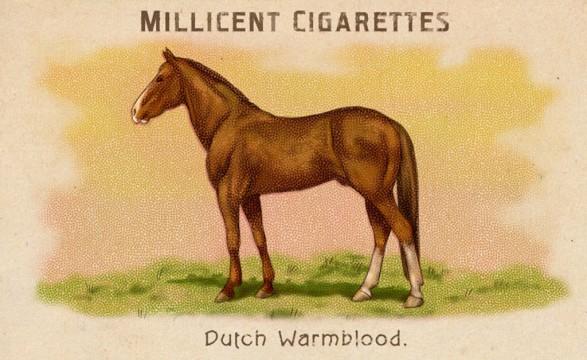 RDR2 CigaretteCards Horses DutchWarmblood