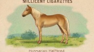 RDR2 CigaretteCards Horses HungarianHalfbred